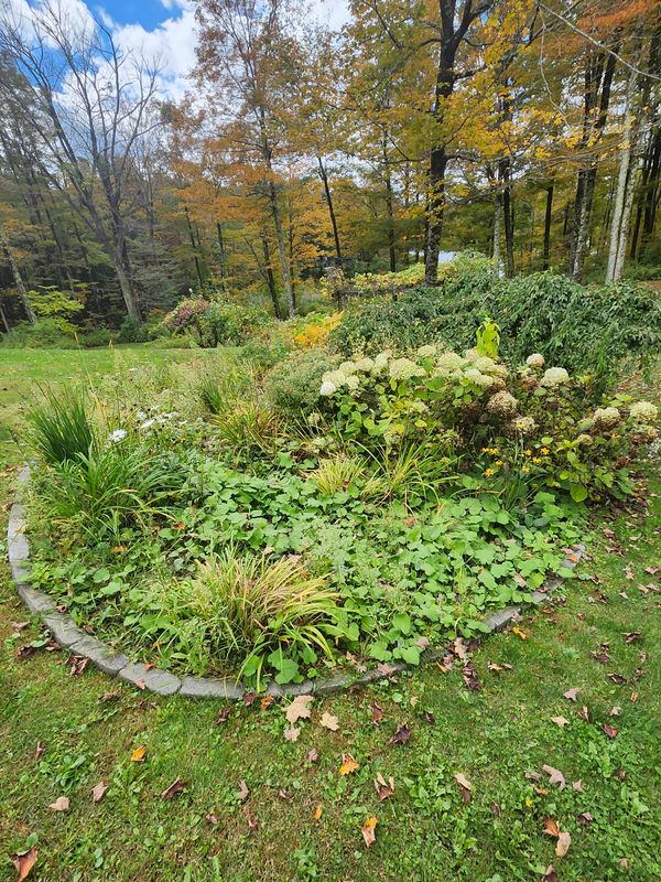 Muclhing & Weeding