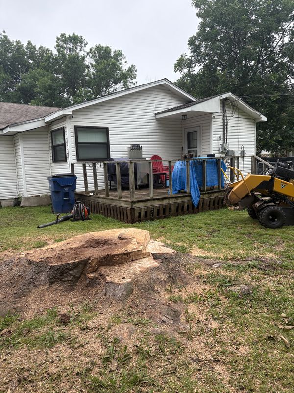 Stump Removal