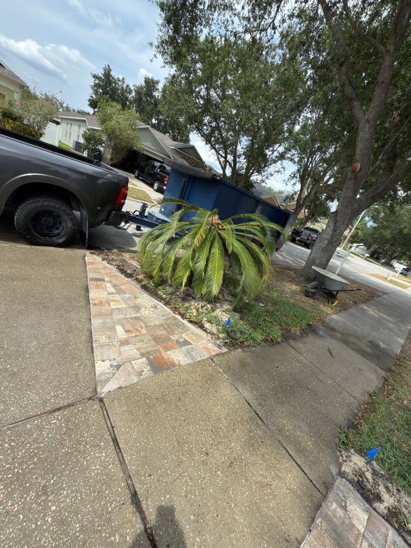 Driveway Paving