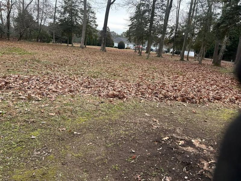 Fall and Spring Clean Up