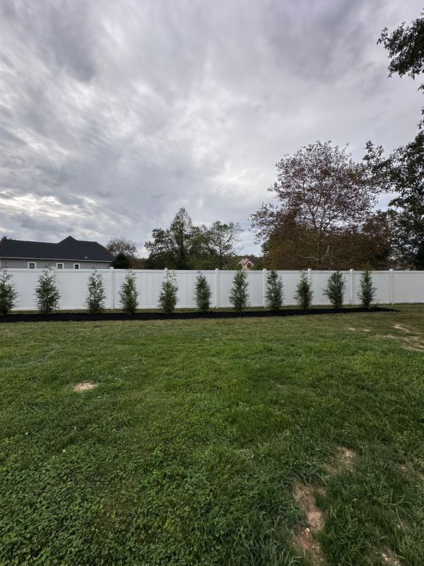 Tree & Perennial Planting