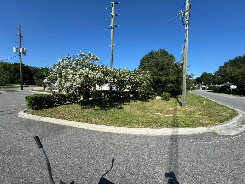 Landscaping