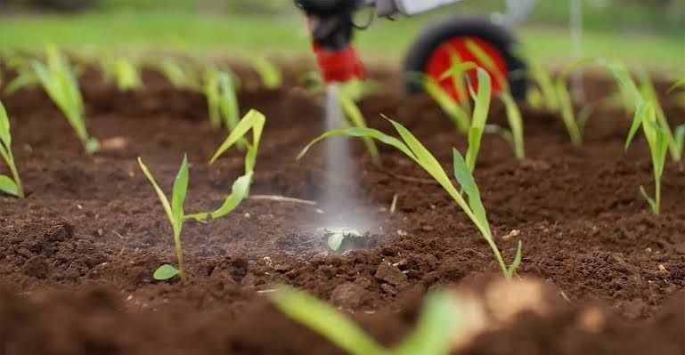 Weed Control