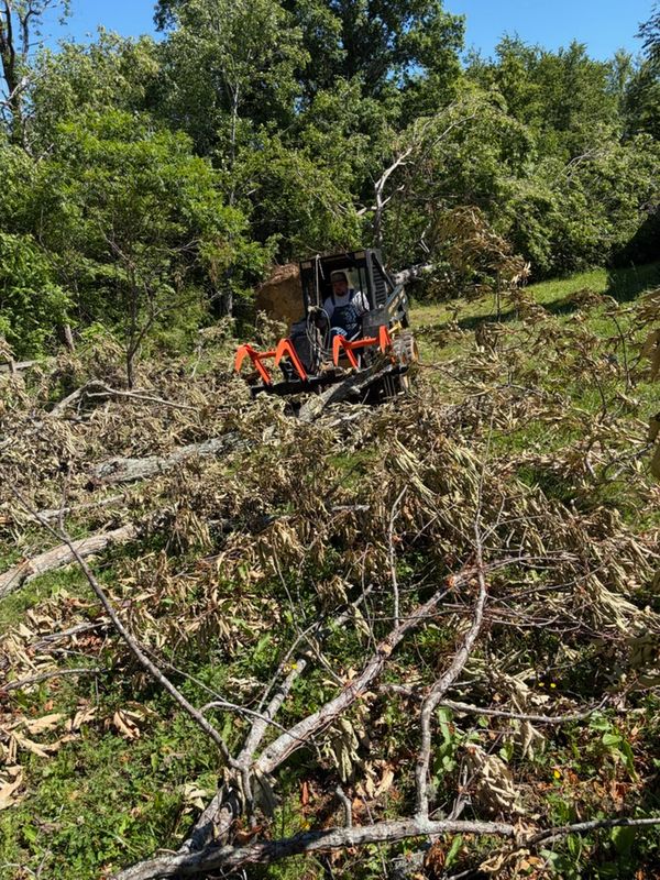 Land Clearing
