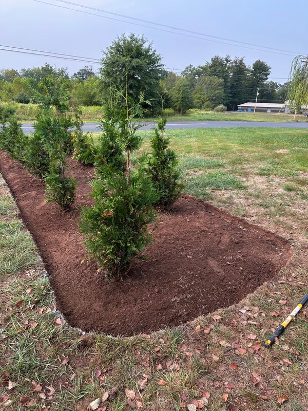 Tree & Perennial Planting
