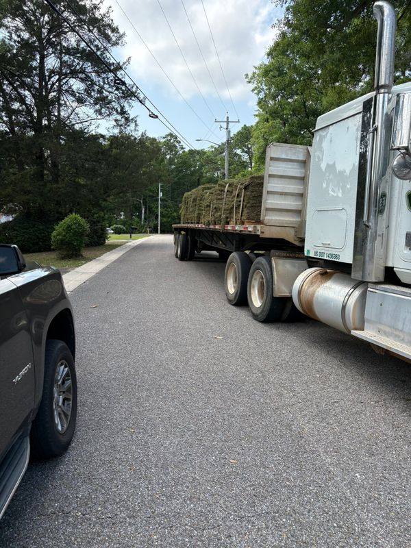 Sod Installation