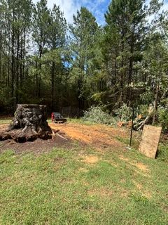 Stump Grinding