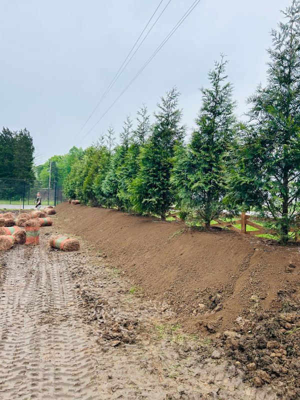 Landscaping Berms