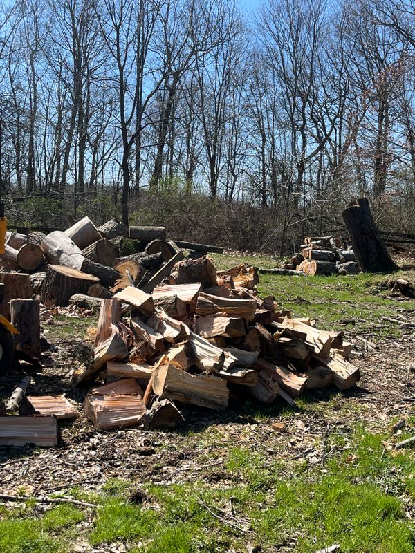 Stump Grinding and Removal