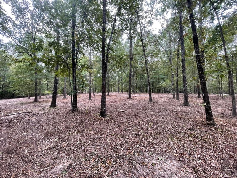 Forestry Mulching