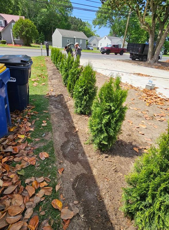 Tree & Shrub Care