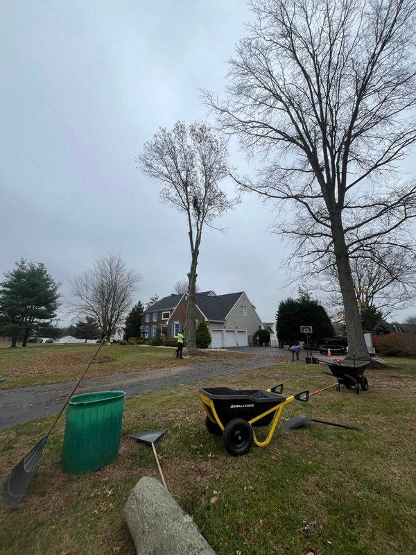 Landscaping