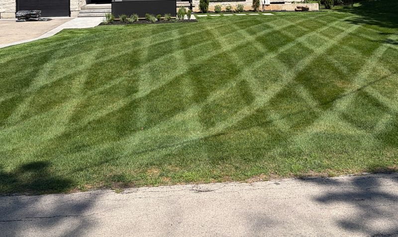 Lawn Mowing