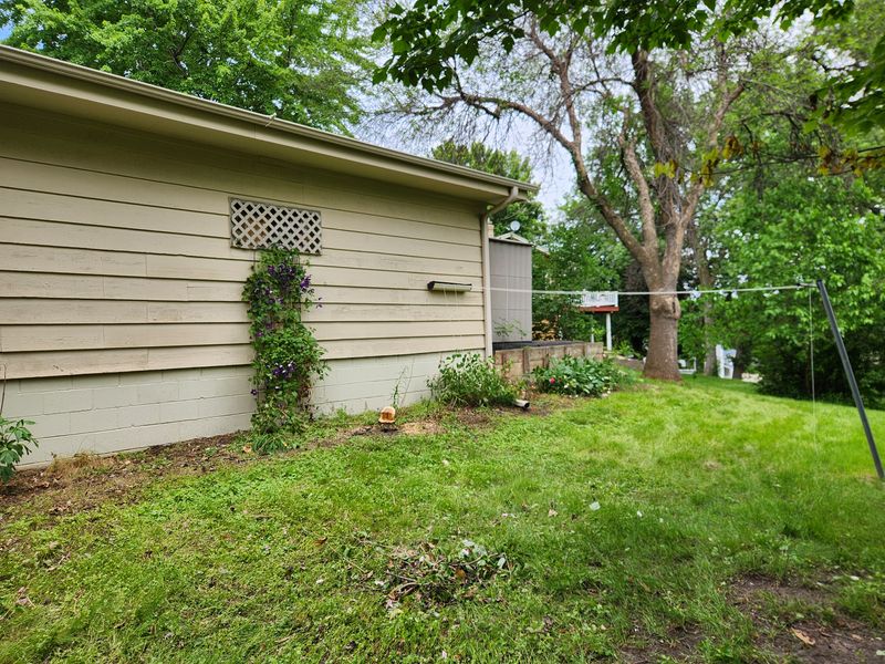 Yard clean up 