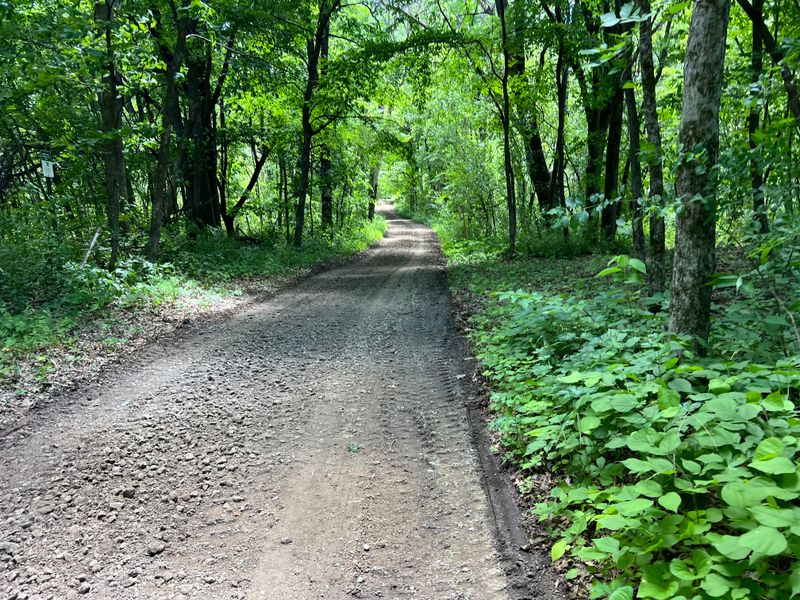 Gravel drivways