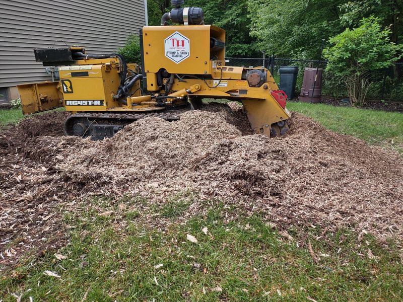 Stump Removal