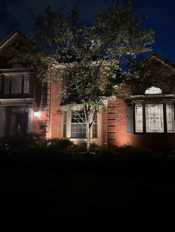 Lighting Installs