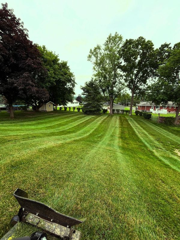 Lawn Mowing