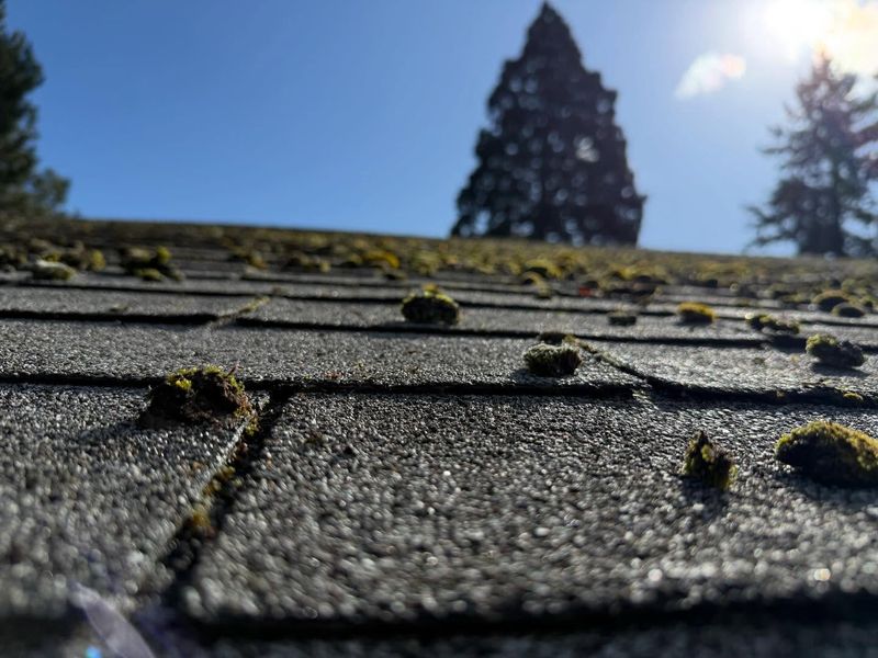 Gutter Cleaning gallery