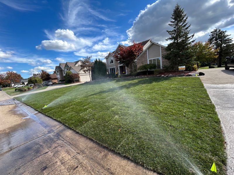 Grading and Sod is Farmington Hills