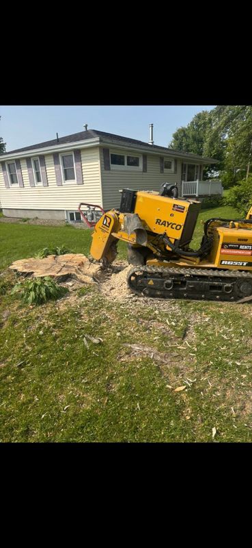 Stump Removal
