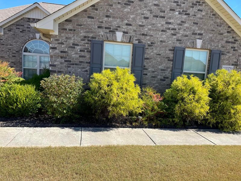 Lawn Care