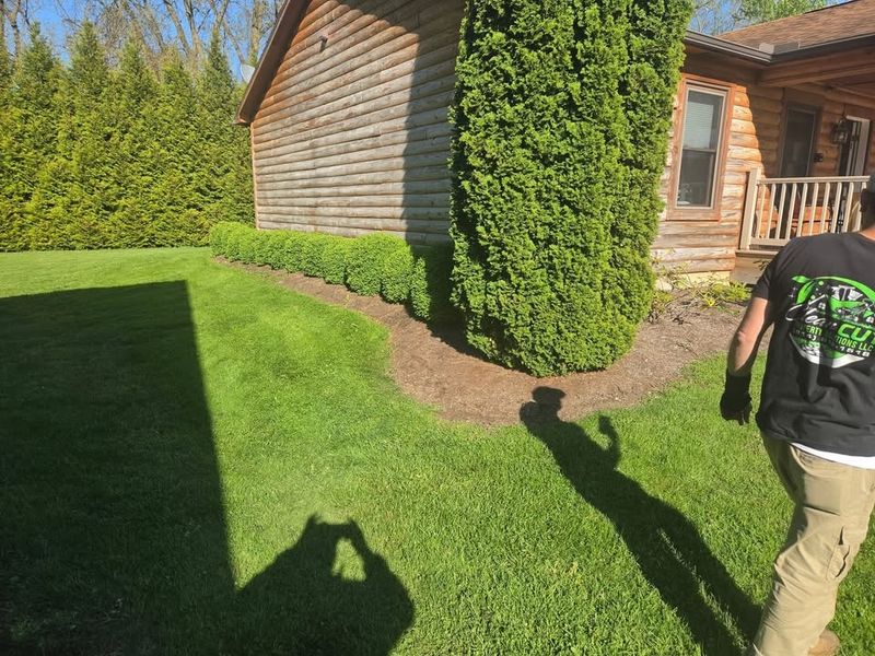 Landscaping