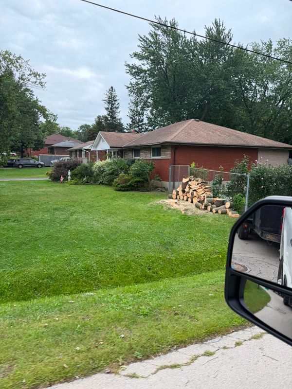 Tree Removal