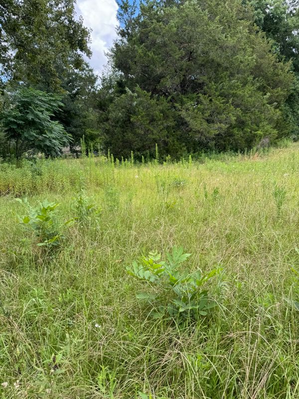 Land Managment 