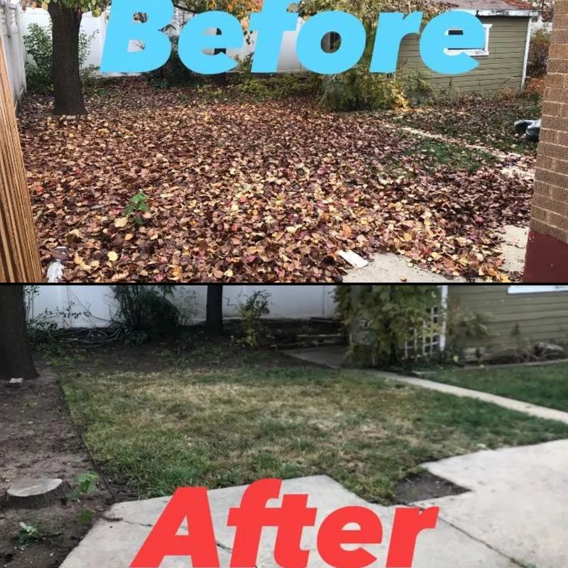 Other Lawn Services