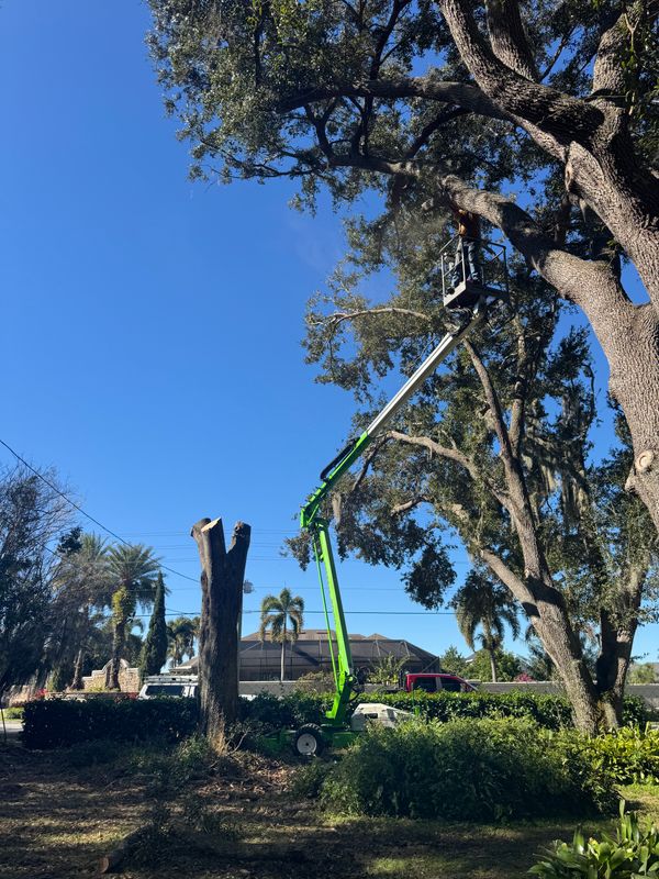 Land Clearing
