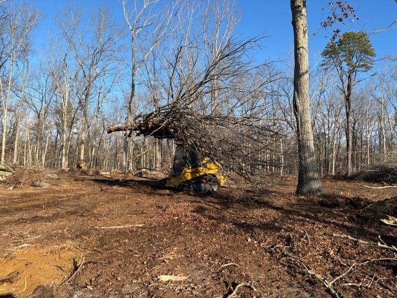 Land Clearing