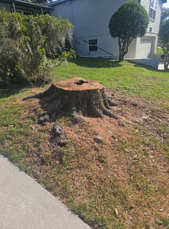 Stump Grinding