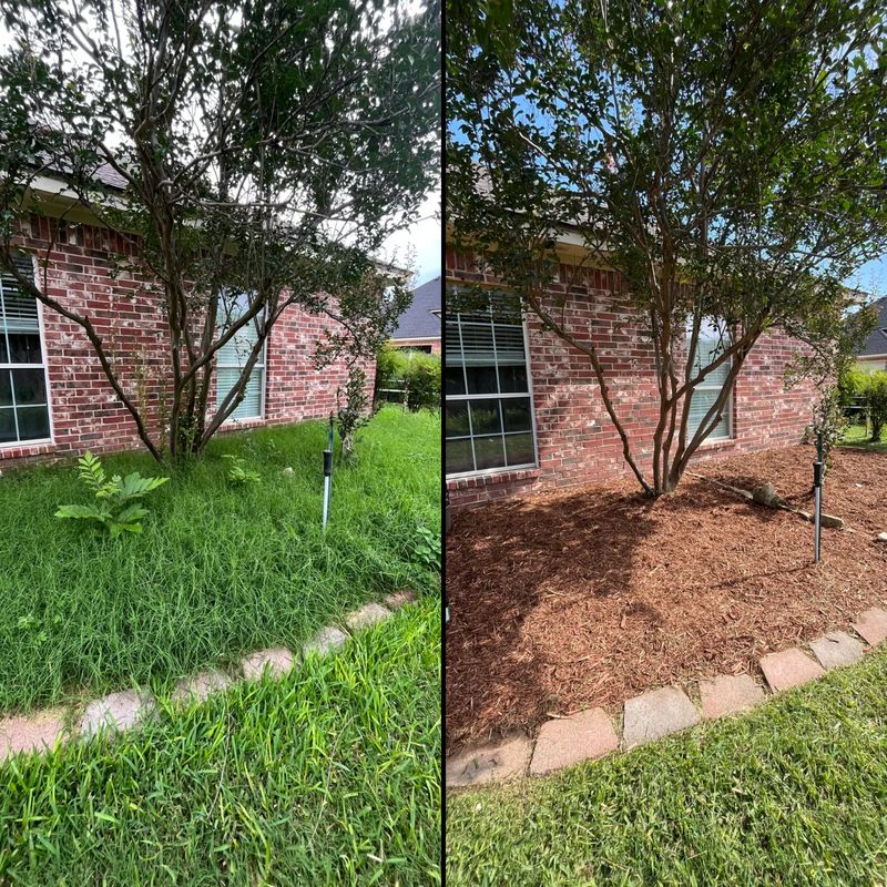Mulch Installation