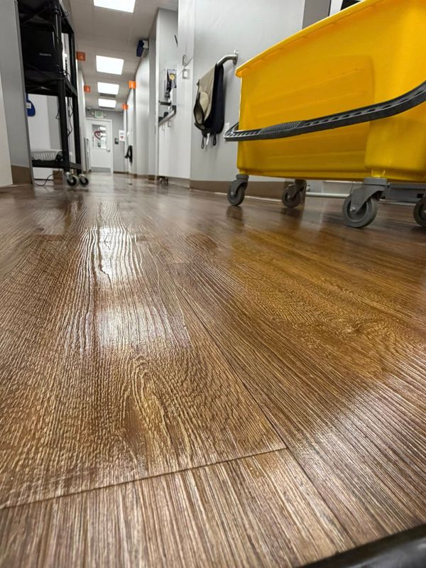 Regular Residential Cleaning