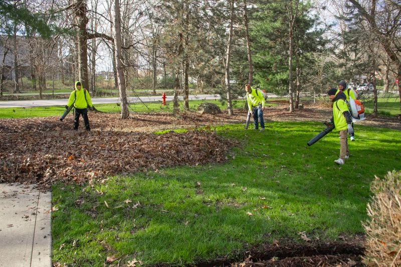 Weekly Lawncare