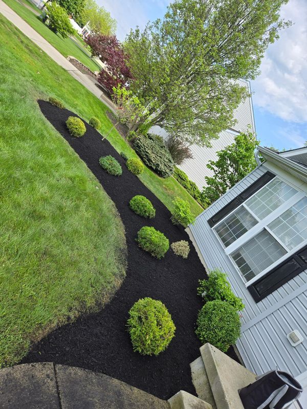 Shrub & Plant Installation Photos