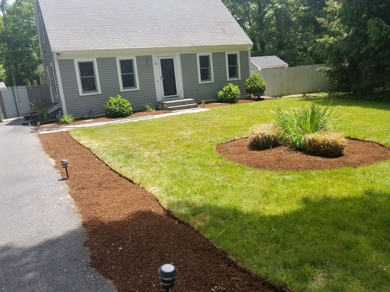 Lawn Maintenance