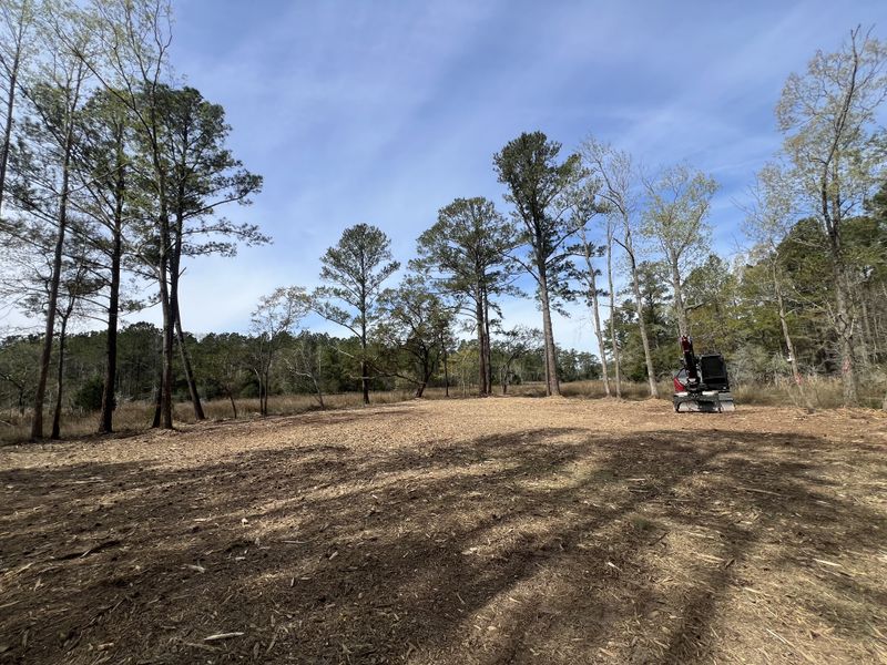 Land Clearing