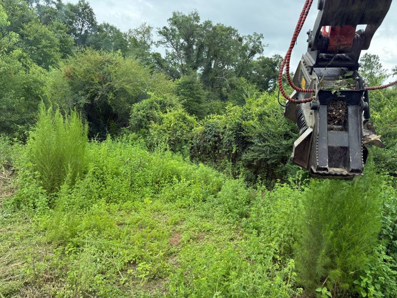 Land Clearing