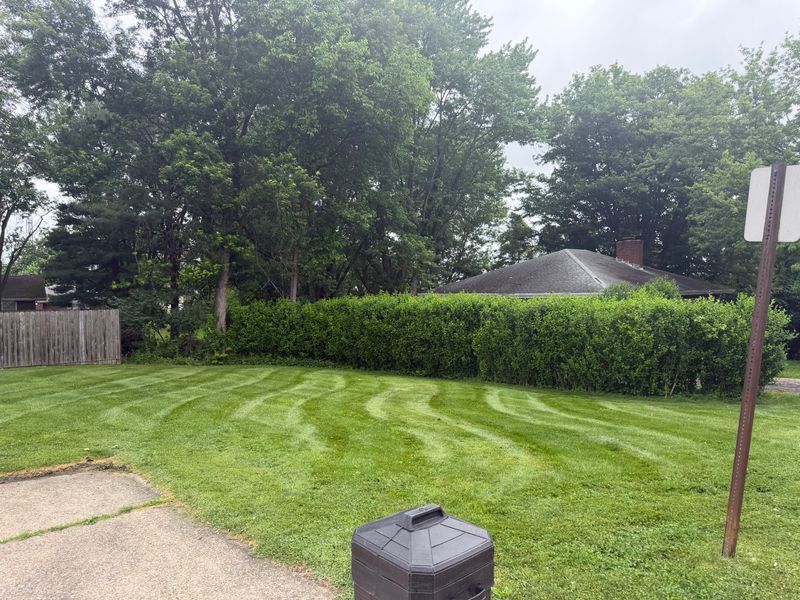 Lawn Care