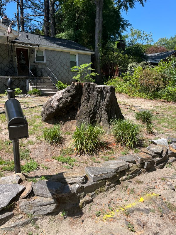 Stump Removal