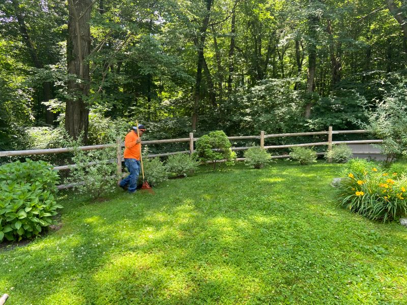 Landscaping
