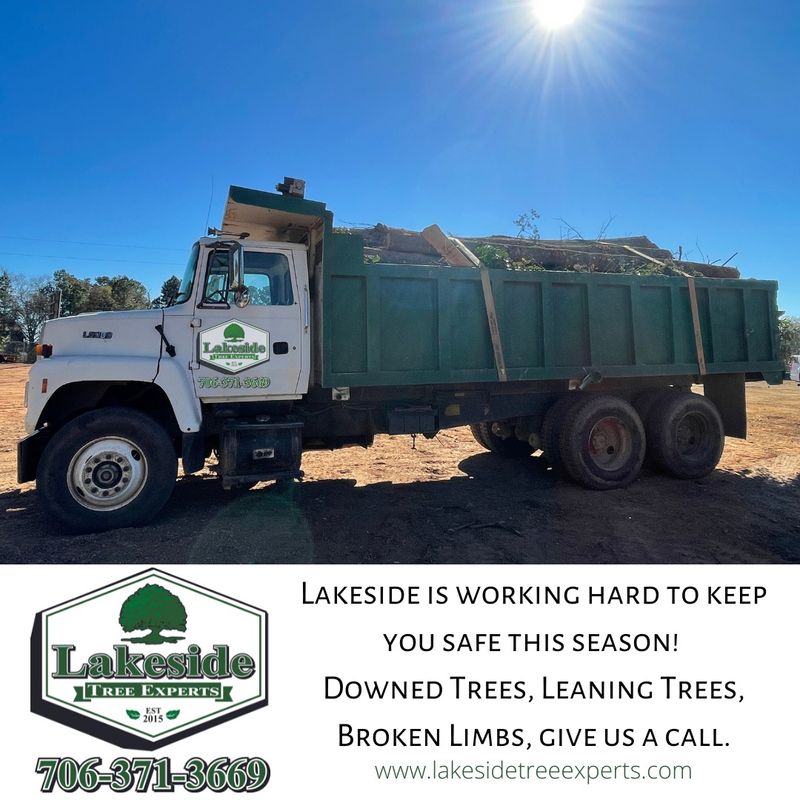 Land Clearing