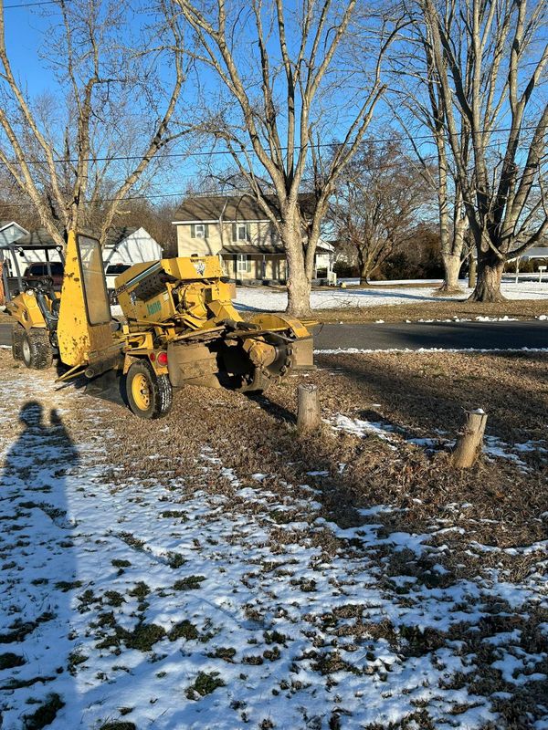 Stump Removal