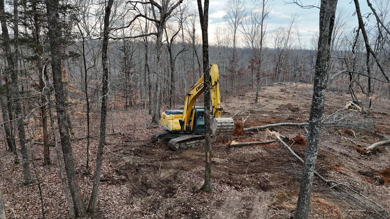 Lot Clearing
