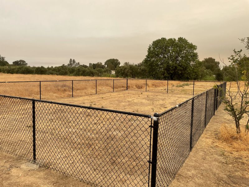 FENCE PICTURES