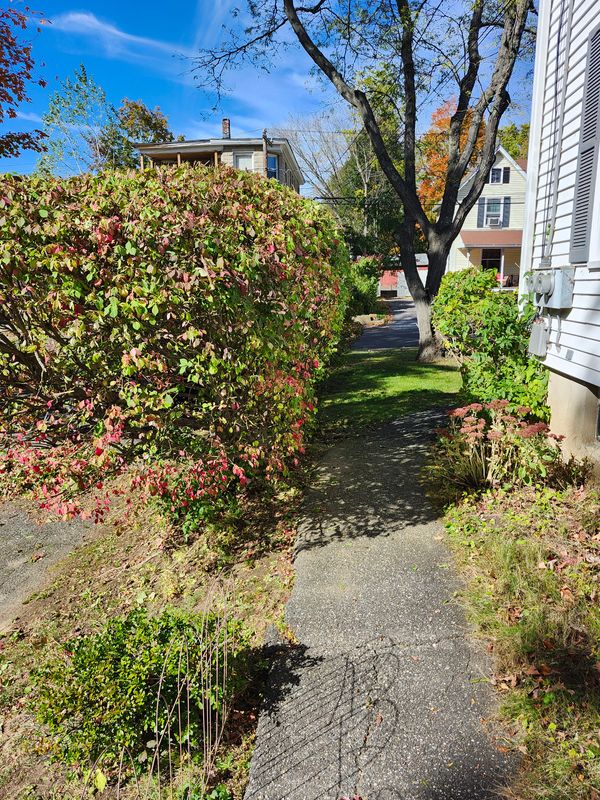 Fall Cleanups