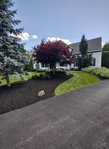 Privacy Plantings