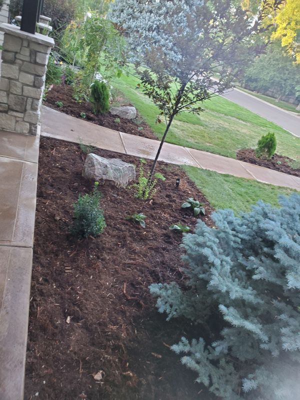 Landscaping